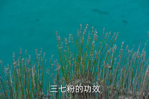 三七二一農藥起什么作用,三七打什么農藥