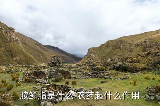 黑什么農(nóng)藥增產(chǎn)劑,黑甲殼蟲用什么農(nóng)藥