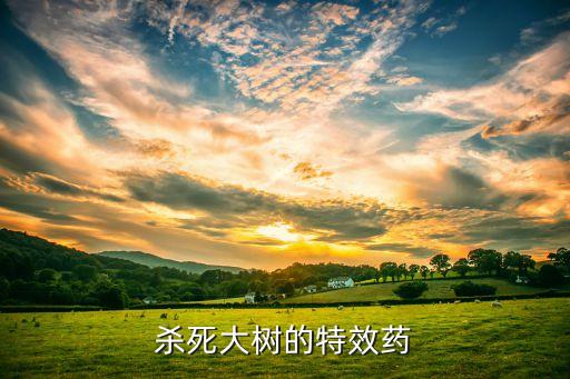 什么農藥可以殺樹,有什么農藥可以把樹毒死