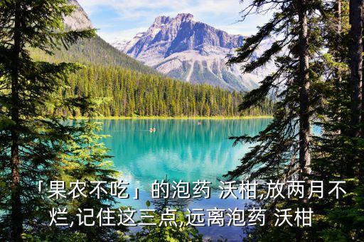 沃柑打什么農(nóng)藥嗎,沃柑大概多少錢一斤