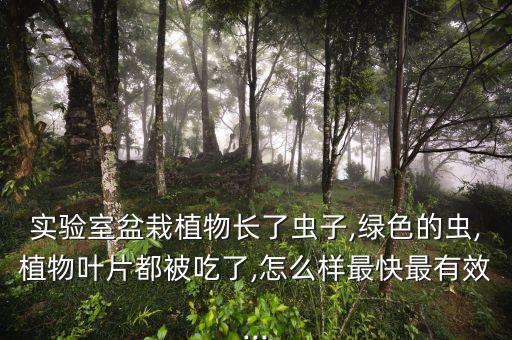 實驗室盆栽植物長了蟲子,綠色的蟲,植物葉片都被吃了,怎么樣最快最有效...
