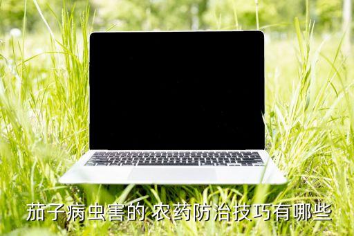  茄子病蟲害的 農(nóng)藥防治技巧有哪些