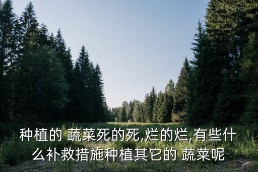 種植的 蔬菜死的死,爛的爛,有些什么補救措施種植其它的 蔬菜呢