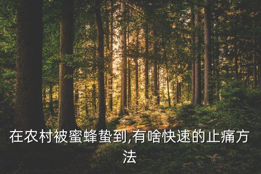 在農(nóng)村被蜜蜂蟄到,有啥快速的止痛方法