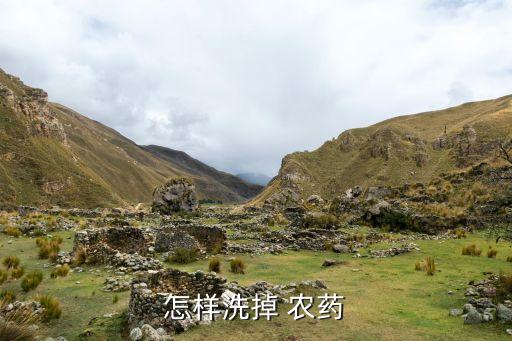 手噴農藥用什么洗,打過農藥的菜用什么洗最好