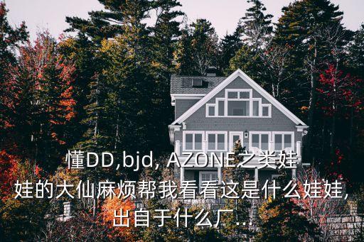 懂DD,bjd, AZONE之類娃娃的大仙麻煩幫我看看這是什么娃娃,出自于什么廠...