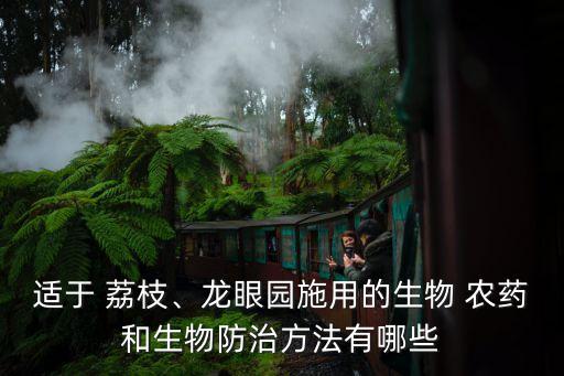 荔枝結果后用什么農藥,荔枝樹打什么農藥