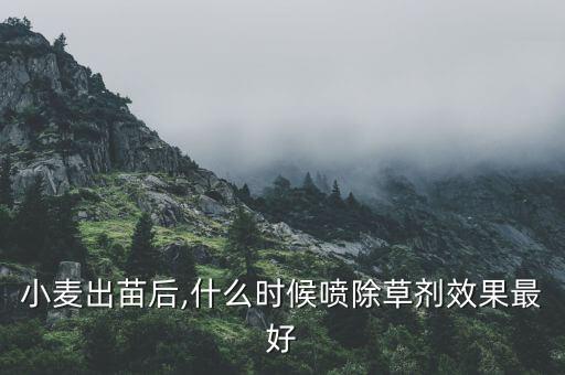 小麥出苗后,什么時候噴除草劑效果最好