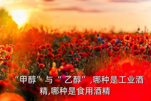 農藥用什么樣的乙醇,農藥注冊商標什么樣