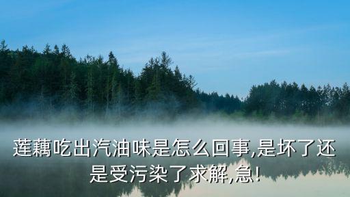 蓮藕吃出汽油味是怎么回事,是壞了還是受污染了求解,急!