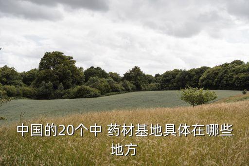 中國的20個中 藥材基地具體在哪些地方