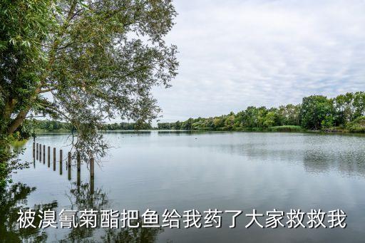 農(nóng)藥中毒魚藥叫什么,有機磷農(nóng)藥中毒首選什么藥