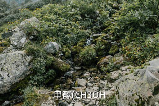 甲胺糍是什么農藥,甲胺靈是什么農藥?