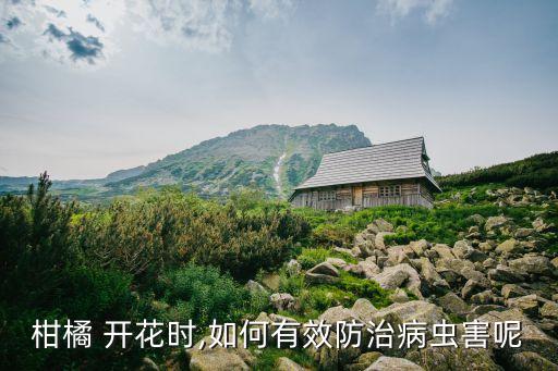 桔子開花后噴什么農藥,桔子什么時間開花