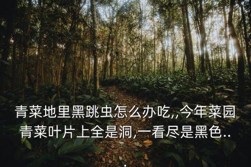黑跳甲用什么農藥最好,什么農藥專治跳甲