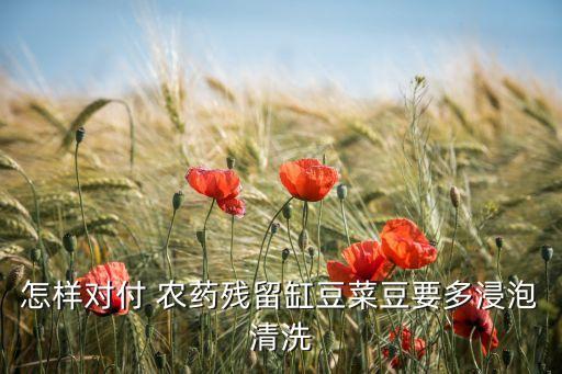 怎樣對(duì)付 農(nóng)藥殘留缸豆菜豆要多浸泡清洗