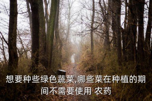 農村種什么菜沒有農藥,在農村種什么菜能賺錢