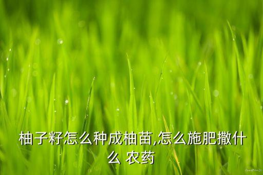 柚子需要打什么農藥,柚子和什么打汁好