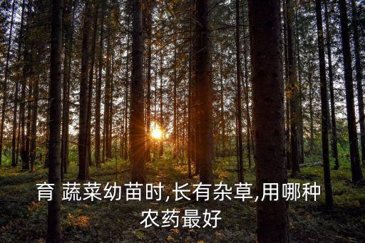 蔬菜地里用什么農藥好呢,蔬菜有蟲子打什么農藥