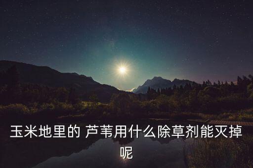 玉米地里的 蘆葦用什么除草劑能滅掉呢