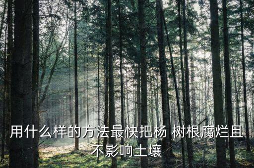 用什么樣的方法最快把楊 樹根腐爛且不影響土壤