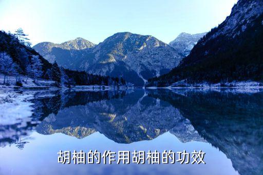 胡柚用什么農(nóng)藥