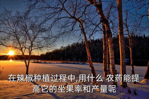 在辣椒種植過程中,用什么 農藥能提高它的坐果率和產量呢
