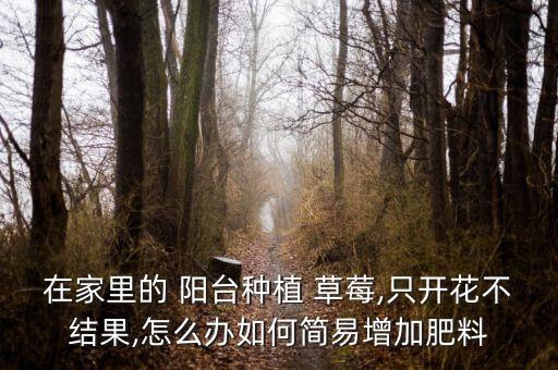 在家里的 陽臺種植 草莓,只開花不結果,怎么辦如何簡易增加肥料