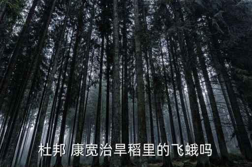 杜邦 康寬治旱稻里的飛蛾嗎