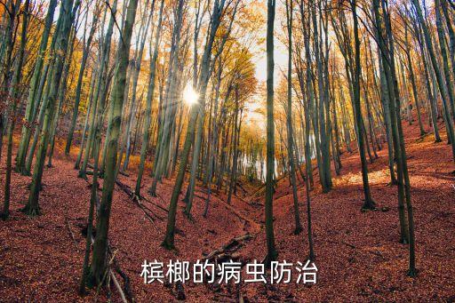 檳榔黃葉病用什么農藥打,黃葉病噴什么農藥