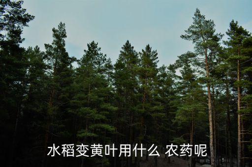  水稻變黃葉用什么 農藥呢
