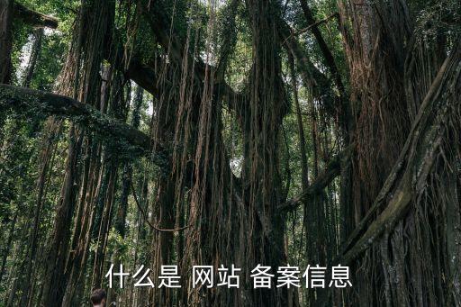 什么是 網站 備案信息