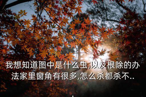 黑菌蟲(chóng)用什么農(nóng)藥