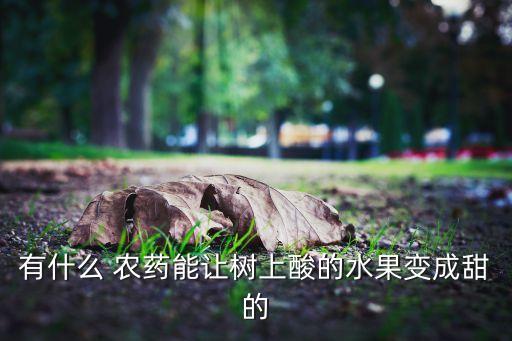 松針與什么配伍最好,松針用什么農藥