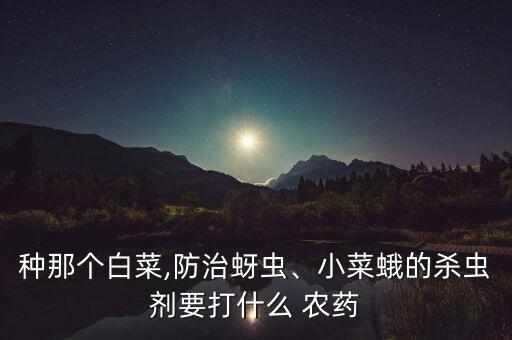 精典菜小白農藥是什么