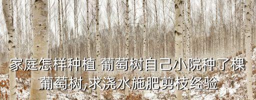 庭院葡萄用什么農(nóng)藥好用,葡萄打什么農(nóng)藥