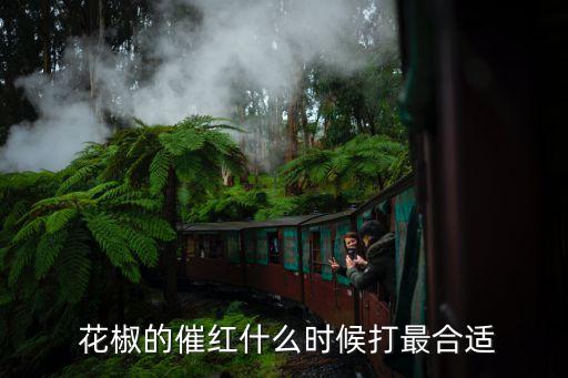 花椒開花前打什么農藥