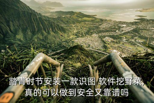 踏青時節安裝一款識圖 軟件挖野菜,真的可以做到安全又靠譜嗎