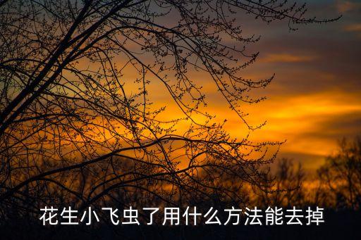 花生用什么農藥滅掉蟲子,西蘭花生蟲子噴什么農藥