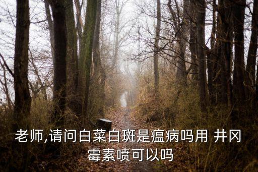井岡霉素農藥治什么病,農藥井岡霉素功效和作用
