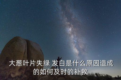  大蔥葉片失綠 發(fā)白是什么原因造成的如何及時的補(bǔ)救