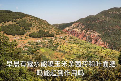  早晨有露水能噴玉米殺菌藥和葉面肥嗎能起到作用嗎