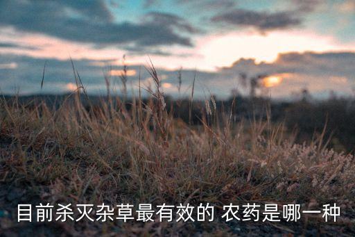 目前殺滅雜草最有效的 農藥是哪一種