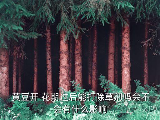 黃豆花期打什么農藥視頻,黃豆害蟲用什么農藥
