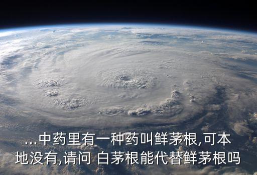 什么農藥可以除白茅根草,白茅根上面的草長什么樣?
