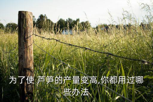 為了使 蘆筍的產量變高,你都用過哪些辦法