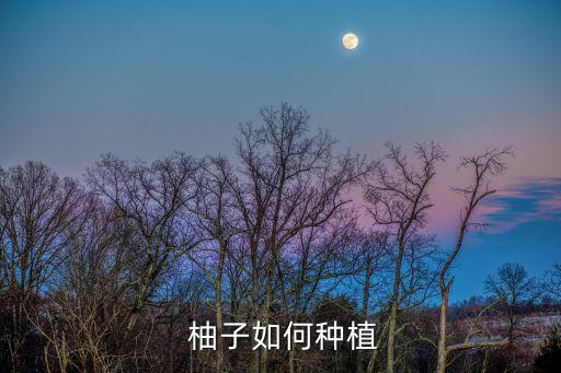 柚子采摘后要用什么農藥,柚子什么時間采摘