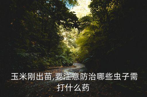 玉米剛出苗,要注意防治哪些蟲子需打什么藥