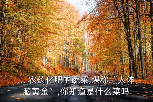 ... 農(nóng)藥化肥的蔬菜,堪稱“人體腦黃金”,你知道是什么菜嗎