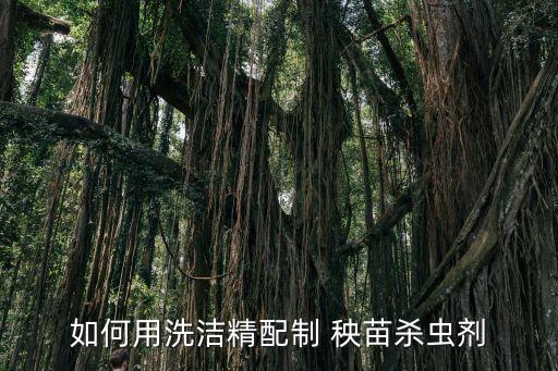 如何用洗潔精配制 秧苗殺蟲劑